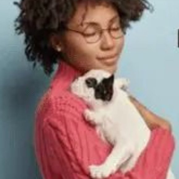 SERCOVE Airline Approved Collapsible Medium Sized Dog/Cat Carrier ( 20 Lbs.max) - Picture 7 of 17